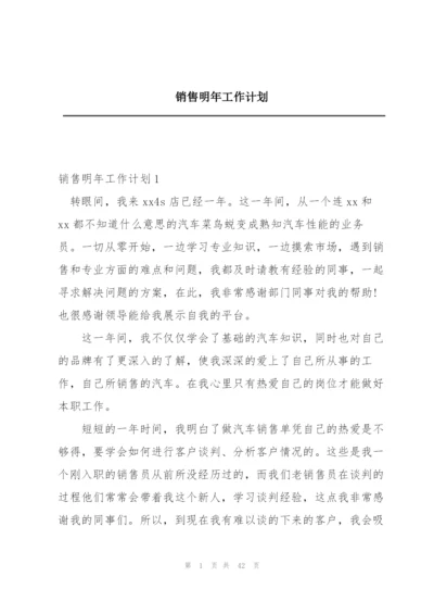 销售明年工作计划.docx