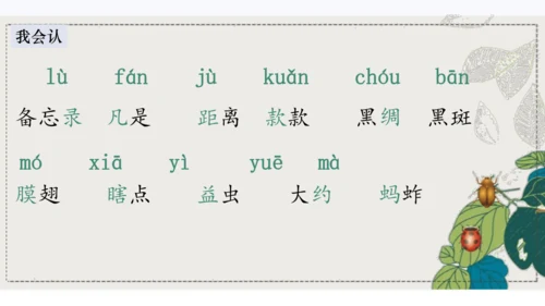 4昆虫备忘录   课件
