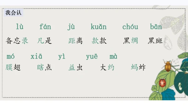 4昆虫备忘录   课件