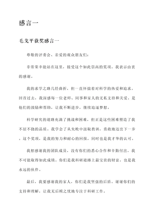 毛戈平获奖感言