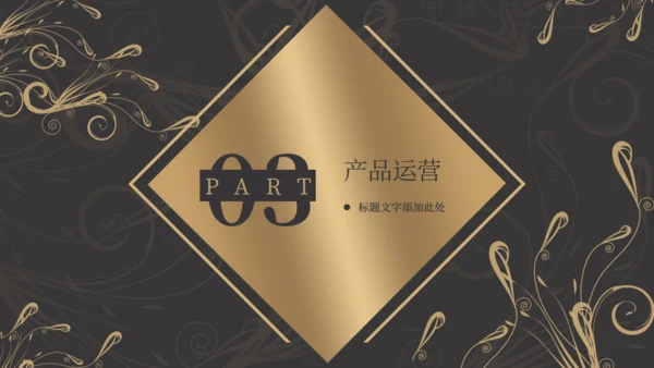 商务黑金奢华风融资商业计划书通用PPT模板