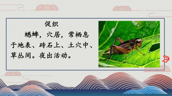 4山行 （课件）