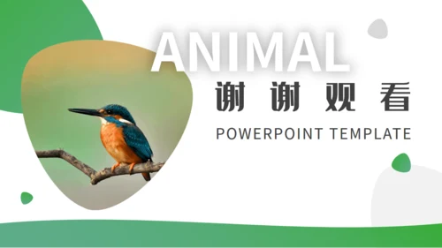 绿色自然生态动物保护宣传通用PPT模板