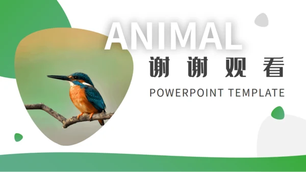 绿色自然生态动物保护宣传通用PPT模板