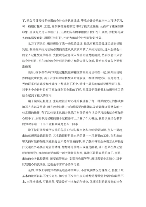 出纳的实习报告范文锦集7篇.docx