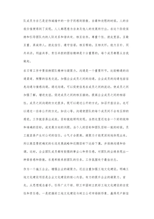 浅谈团队精神与企业凝聚力.docx