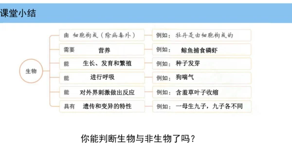 人教版（2024）七年级上册1.1.2生物的特征 课件(共24张PPT)