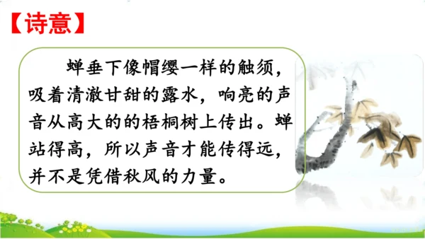 10.单元整理课