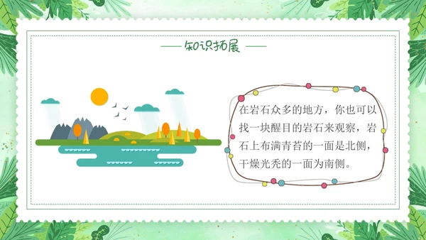 要是你在野外迷了路小清新二年级语文下册PPT小学语文二年级小学语文二年级下册课件