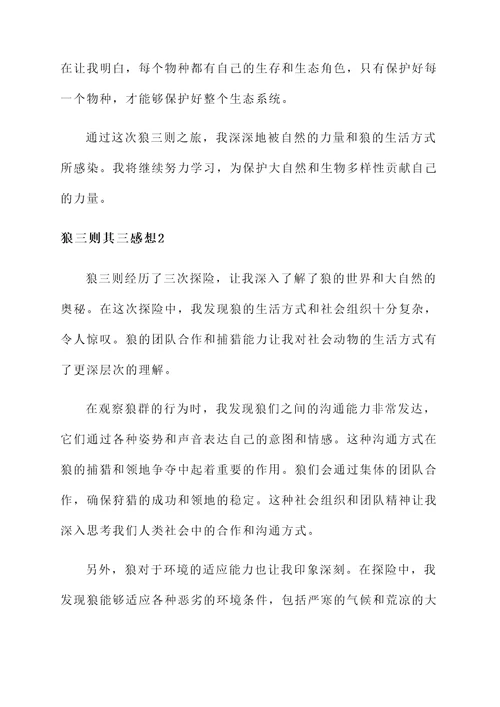 狼三则其三感想