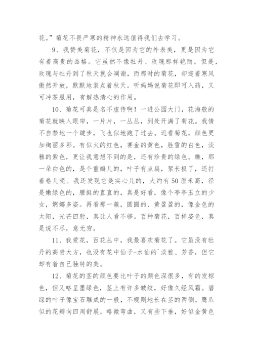 描写菊花的优美句子.docx