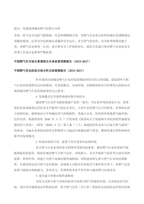 发展我国城市燃气的要点分析.docx