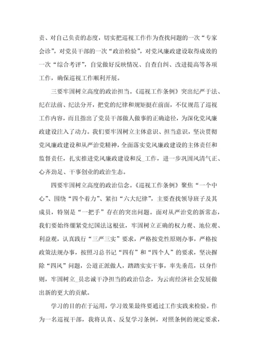 巡视巡查工作个人心得体会范文五篇.docx