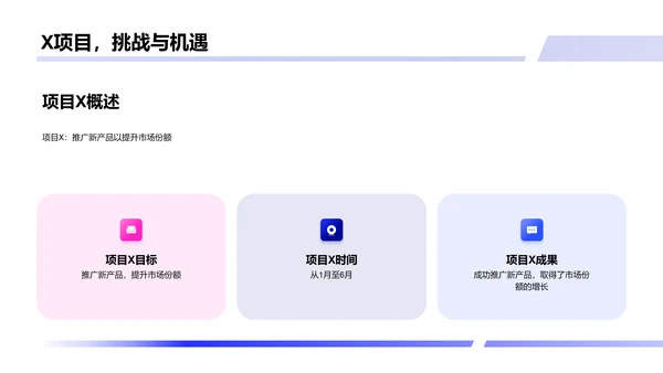 房产项目业绩报告