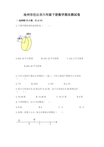 沧州市任丘市六年级下册数学期末测试卷精品及答案.docx