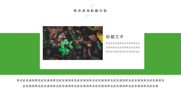 唯美绿色植物发芽植物生长敬畏生命PPT模板