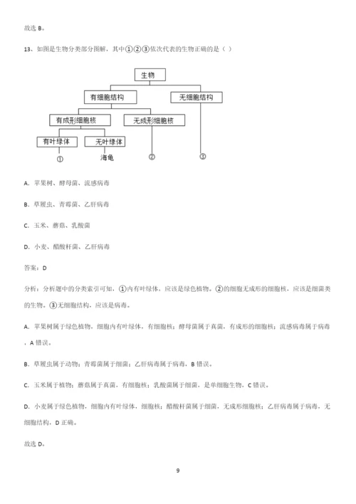 人教版2023初中生物八年级上册第六单元生物的多样性及其保护考点专题训练.docx