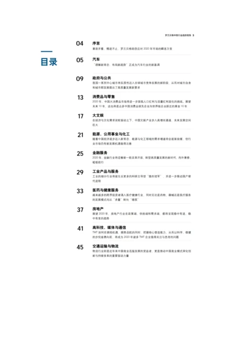 中国行业趋势报告-特别报告.docx