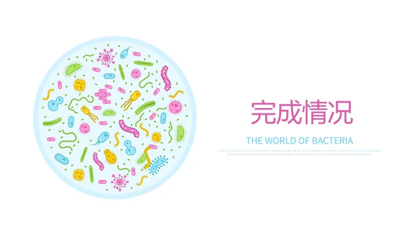 生物学细菌细胞动态PPT