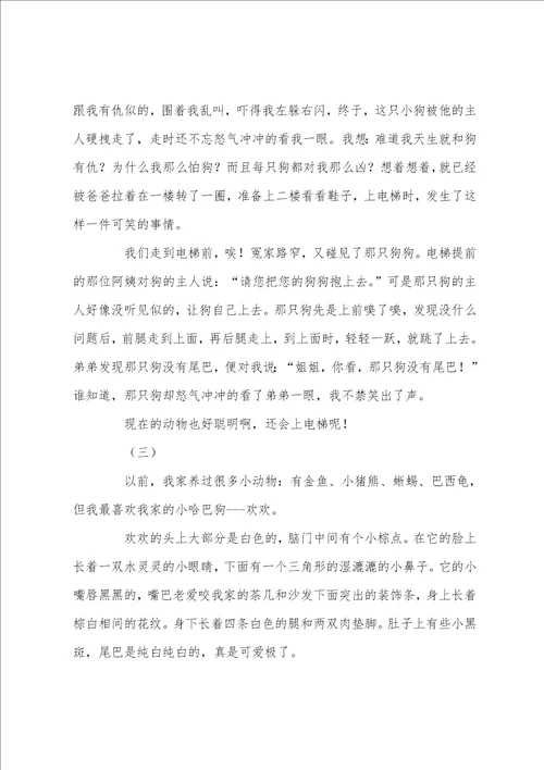 和小狗有关的作文