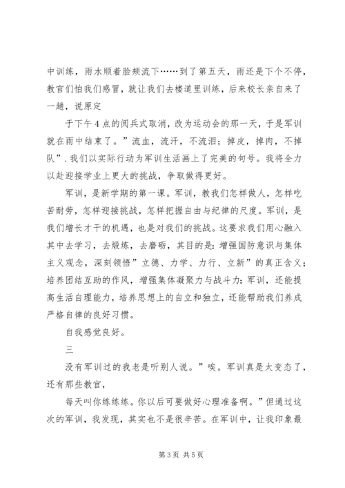第一次卖旗感想.docx