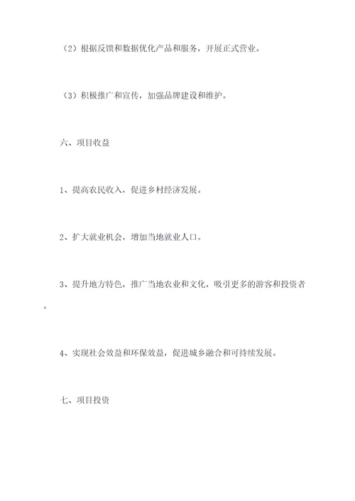 挑战杯旅游乡村振兴计划书