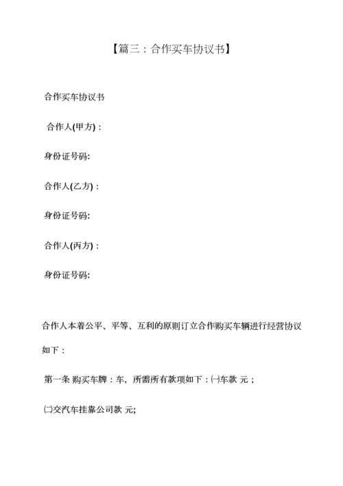 两人合伙买车协议书.docx