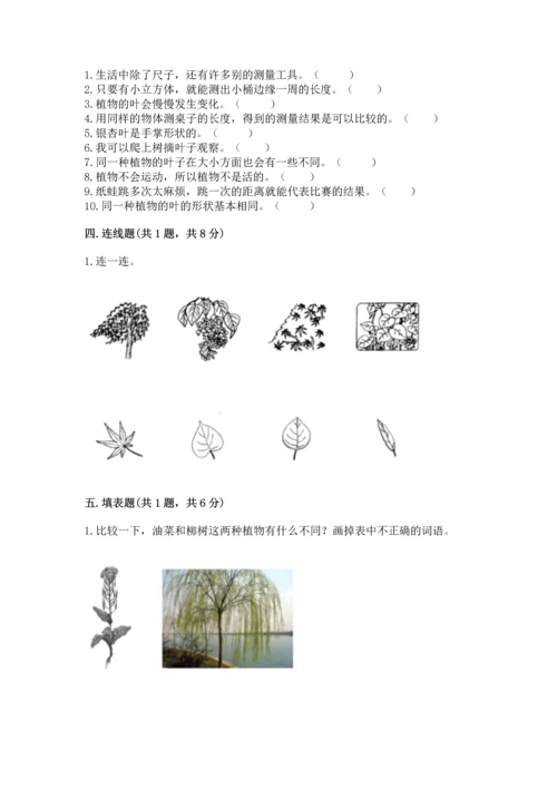 教科版一年级上册科学期末测试卷附参考答案（研优卷）.docx