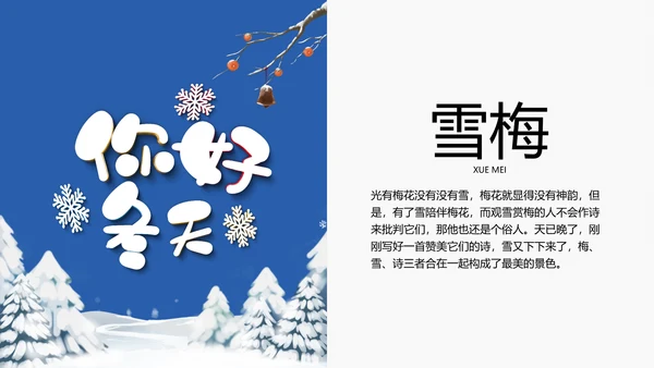 冬季冬天活动策划项目提案汇报PPT模板