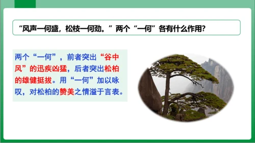 第3单元课外古诗词诵读赠从弟（其二）（课件）【2023秋统编八上语文高效实用备课】(共16张PPT)