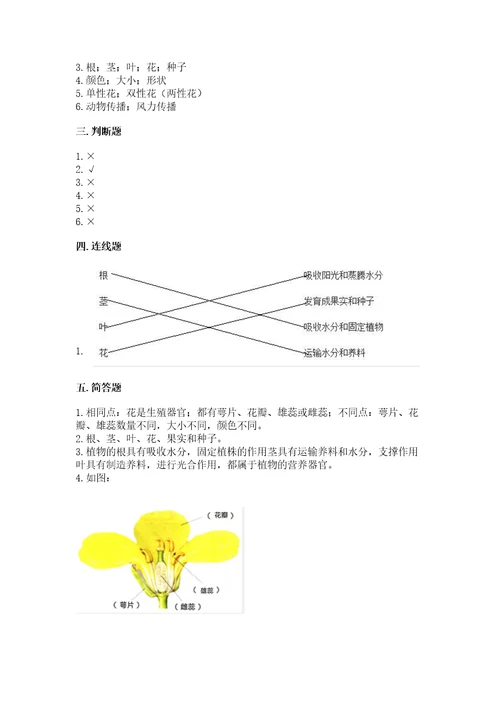 科学四年级下册第一单元植物的生长变化测试卷研优卷