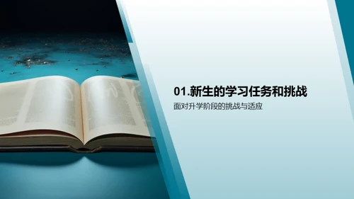 新生高效学习之路