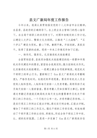 县文广新局年度工作报告.docx