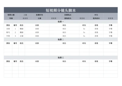 短视频分镜头脚本