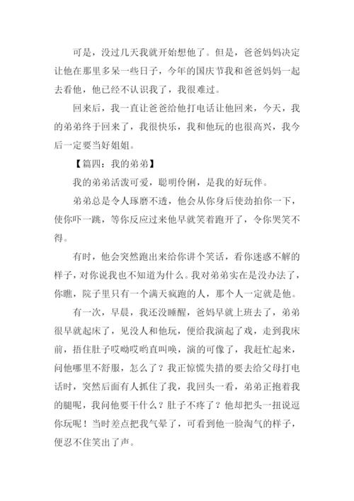 我的弟弟作文300字.docx