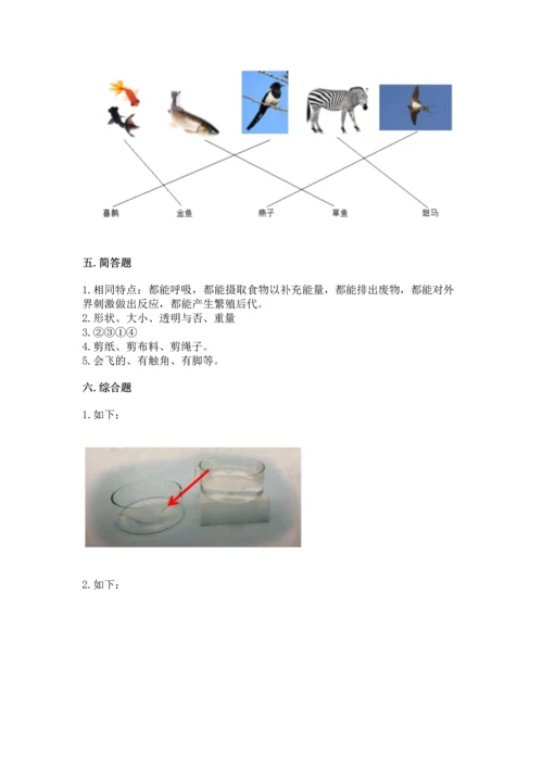 教科版一年级下册科学期末测试卷附答案【夺分金卷】.docx