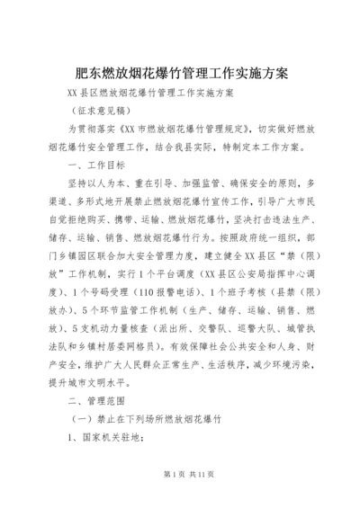 肥东燃放烟花爆竹管理工作实施方案.docx