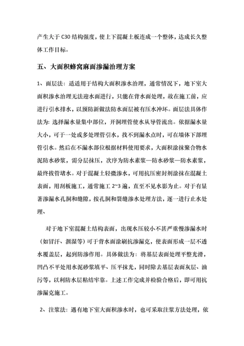 渗漏处理专项方案.docx