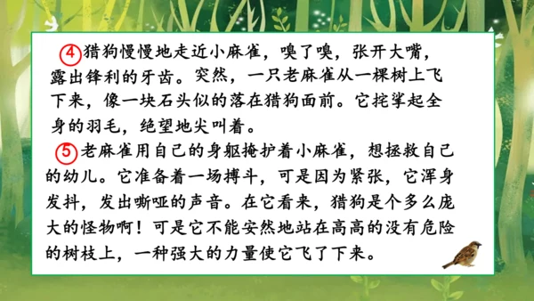 16 麻雀   课件