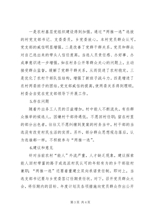 某乡试行村党支部换届选举情况汇报 (4).docx