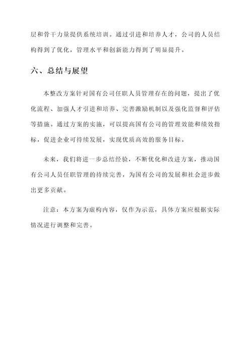 国有公司任职人员整改方案