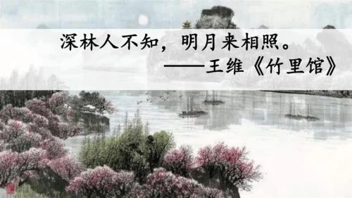 23祖先的摇篮（课件）
