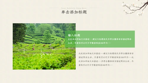 茶叶茶艺茶道春茶绿茶农村旅游茶园茶文化ppt