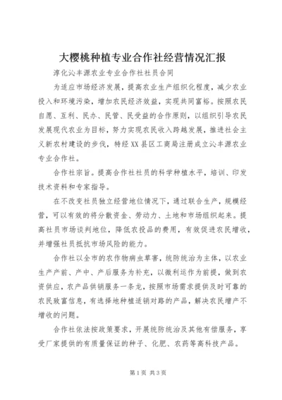 大樱桃种植专业合作社经营情况汇报 (5).docx