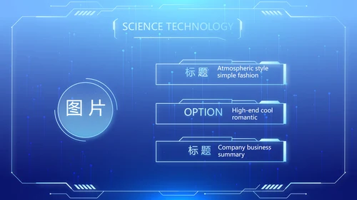 蓝色医疗科技信息化建设工作总结PPT