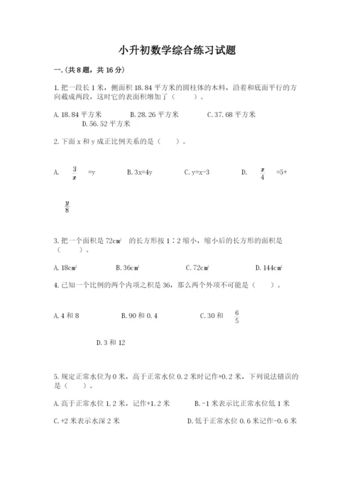小升初数学综合练习试题（完整版）.docx