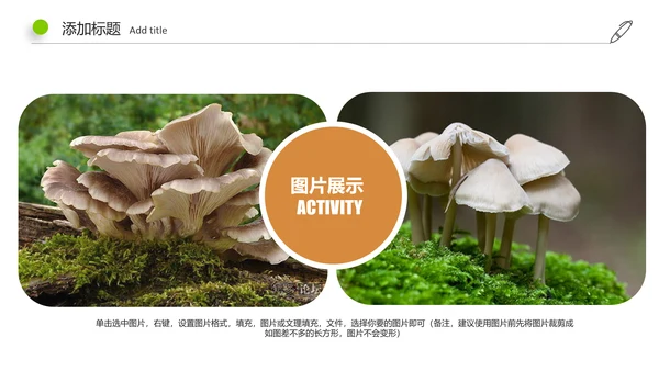 高清野生菌类动态PPT模板