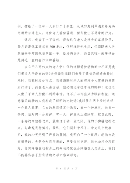 老人与海鸥读后感范文模版.docx