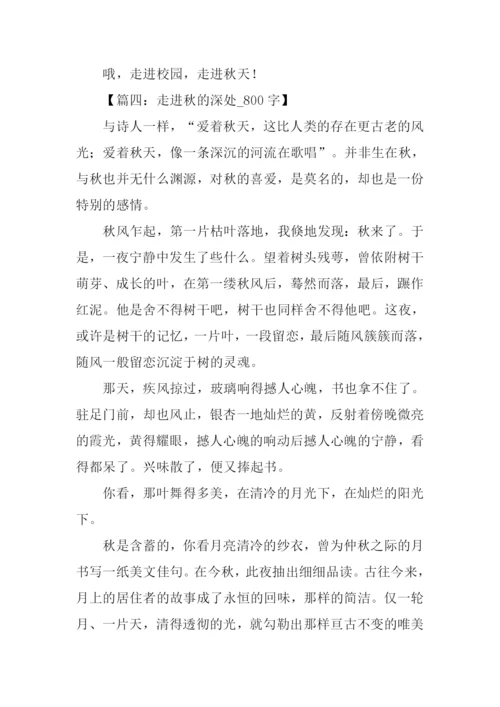 走进秋天作文800字-1.docx
