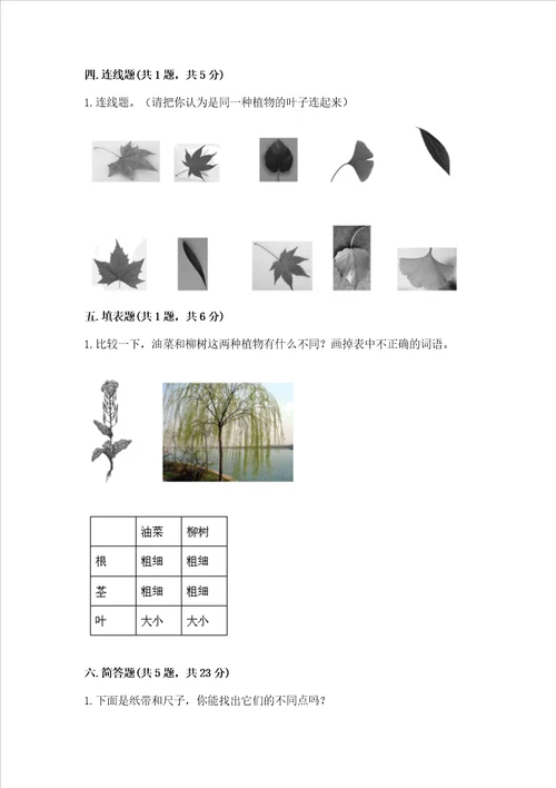 教科版一年级上册科学期末测试卷附答案培优b卷